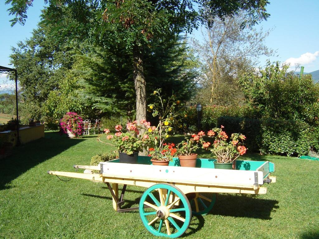 Incisa in Val d'Arno B&B Casale Ginette المظهر الخارجي الصورة