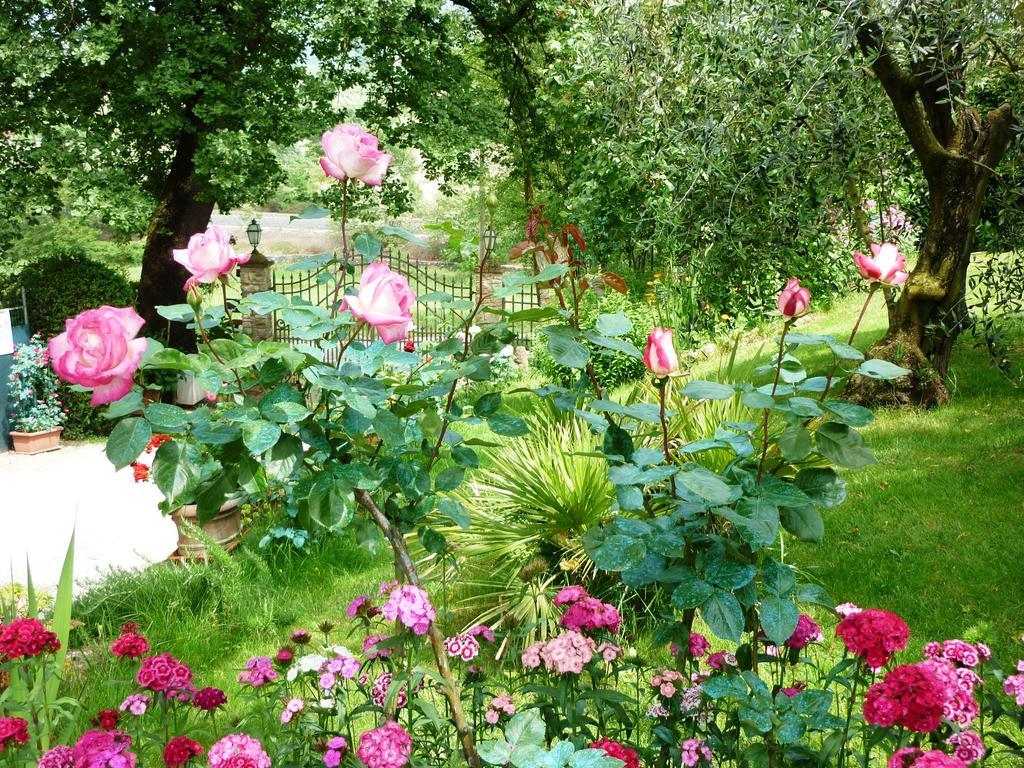 Incisa in Val d'Arno B&B Casale Ginette المظهر الخارجي الصورة